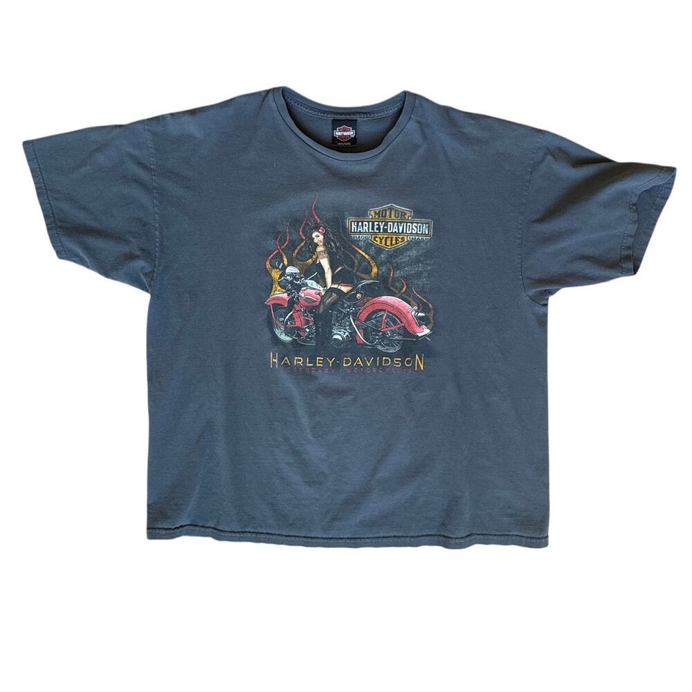 Harley Davidson Biker Babe Graphic Tee in Gray Deadwood Size 2XL XXL